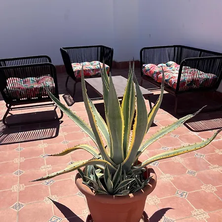 Casa Torre Y Mar With 2 Bedrooms Pool Barbecue Patio & Sun Terrace Torrevieja